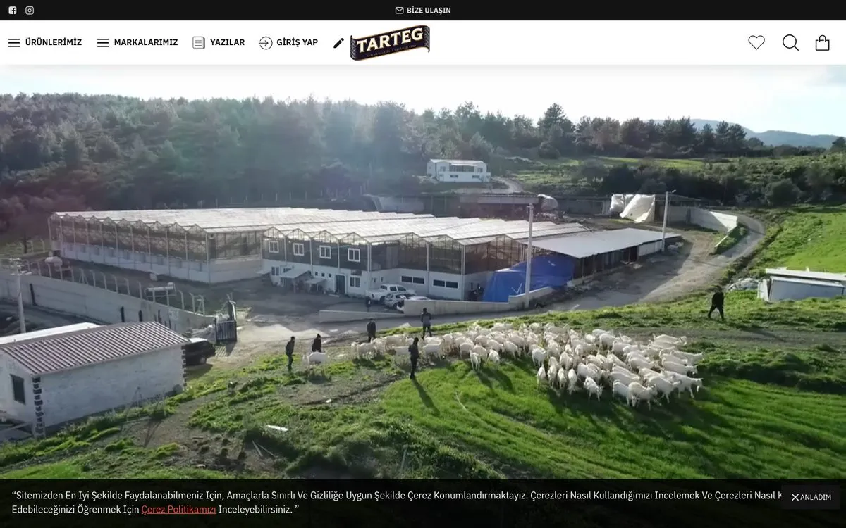 Tarteg web sitesi ana sayfası